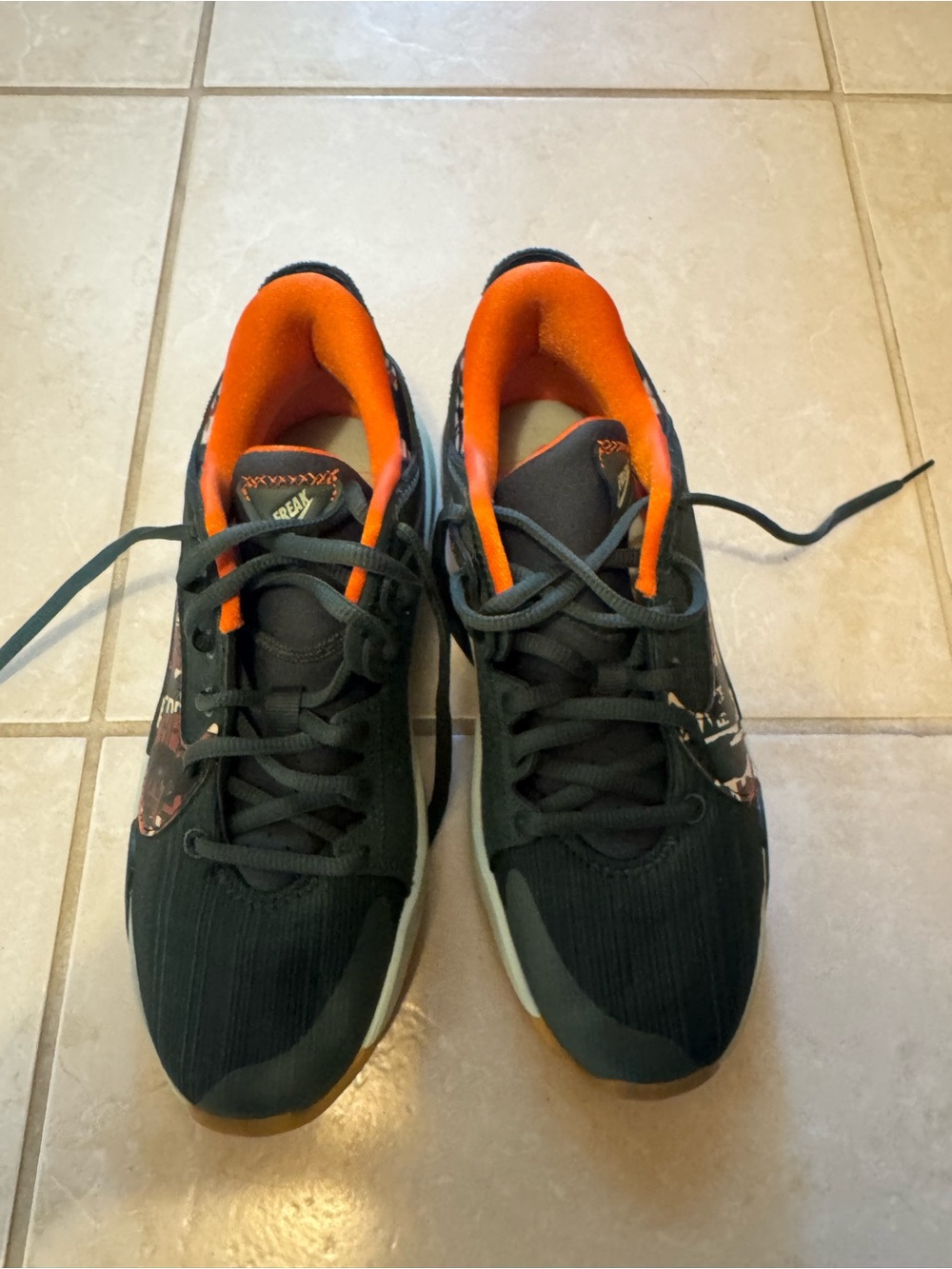 Giannis FREAKS Nike sneakers